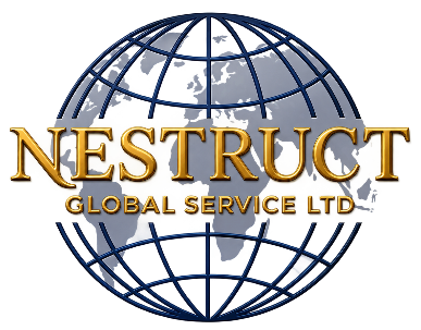 compressed_Nestruct-global-service-globe-logo